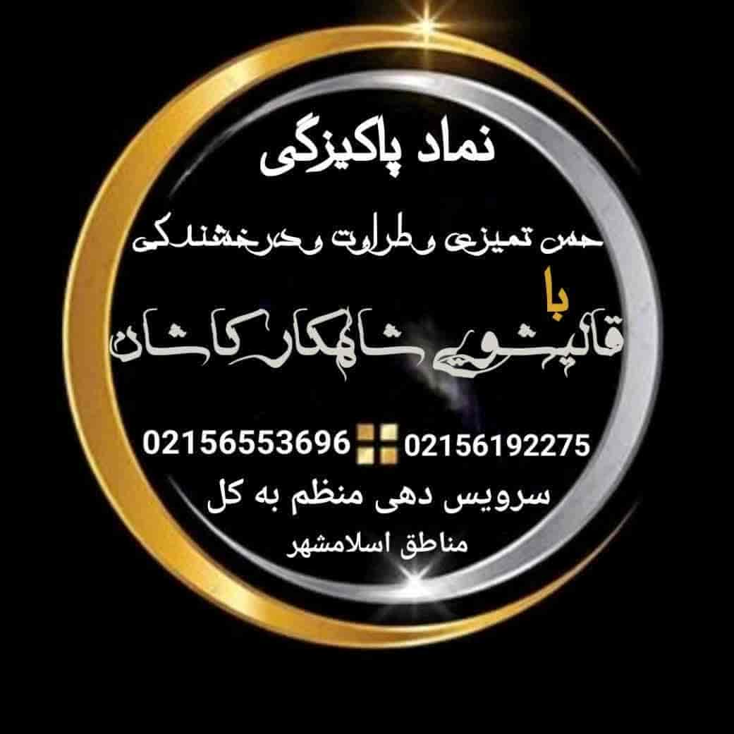 1786943882334.webp 1786943882334.webp